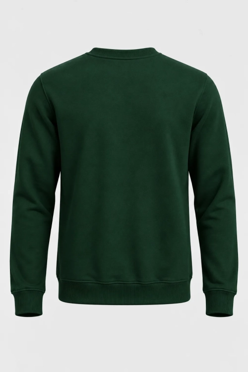 bluza crewneck zielona  (1).png